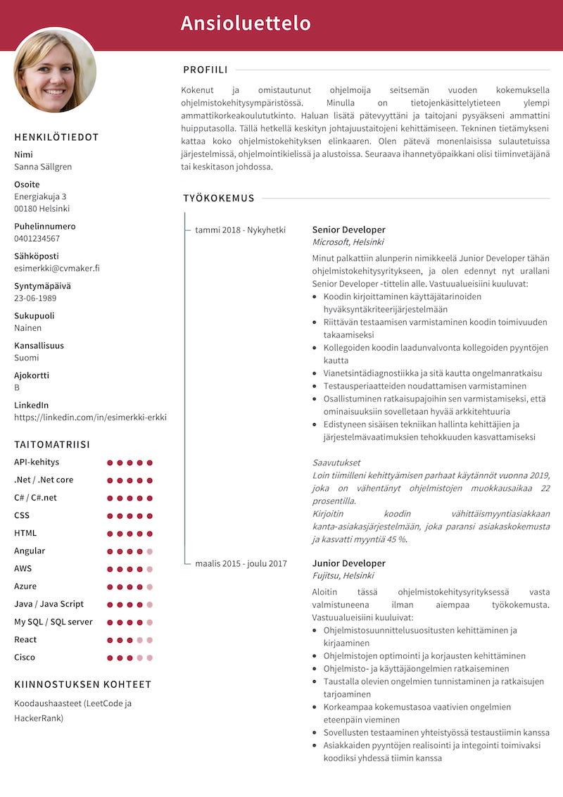 ohjelmoijan CV